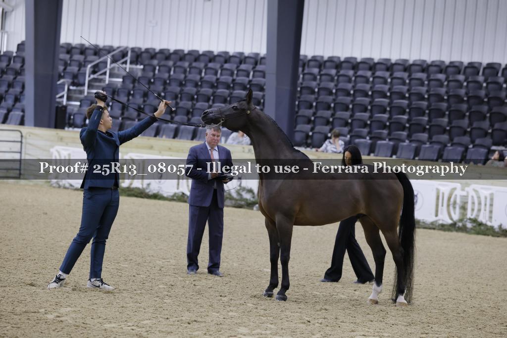 Proof 25R13_08057
