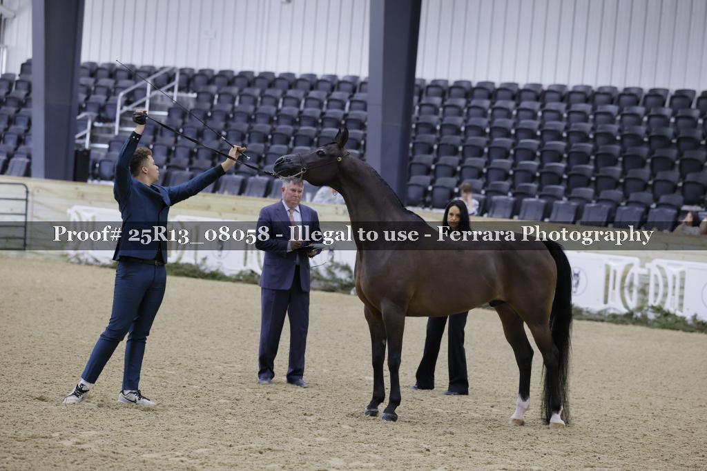 Proof 25R13_08058