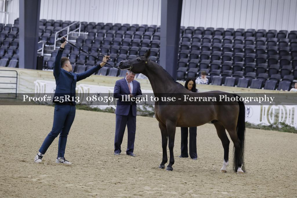 Proof 25R13_08059