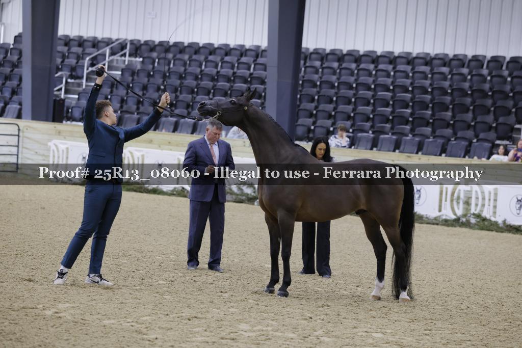 Proof 25R13_08060