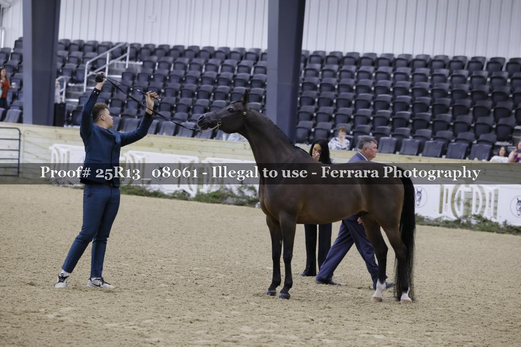 Proof 25R13_08061