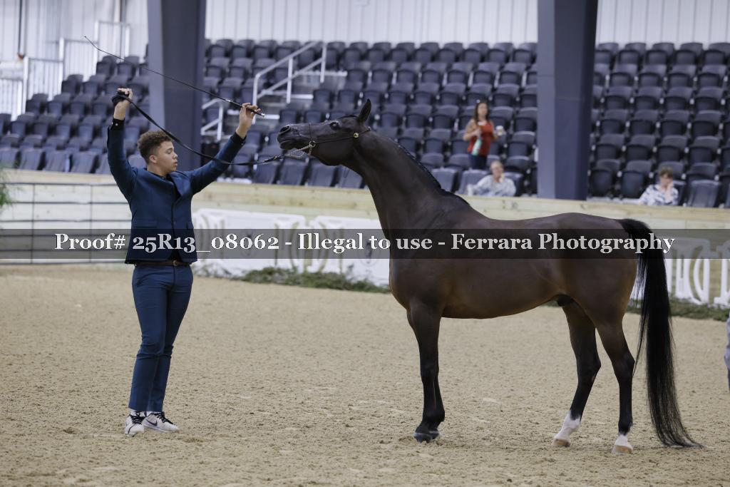 Proof 25R13_08062