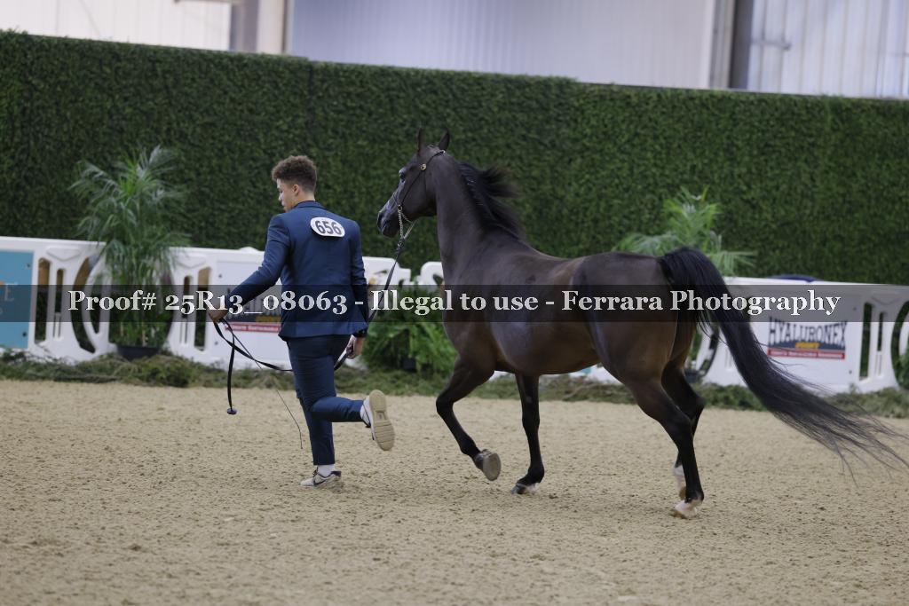 Proof 25R13_08063