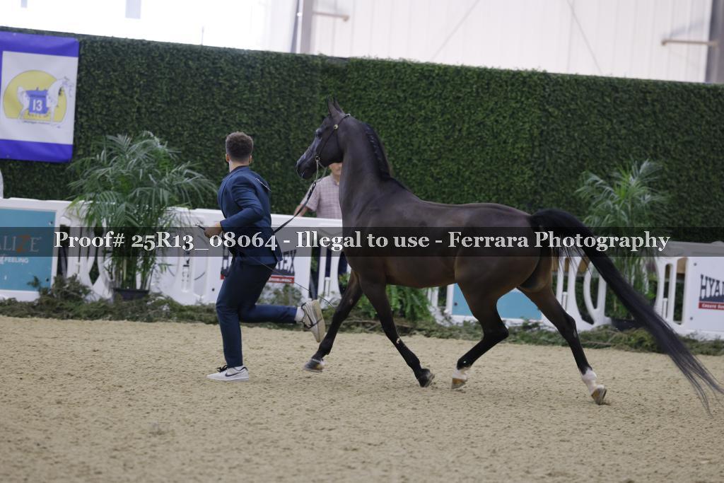 Proof 25R13_08064