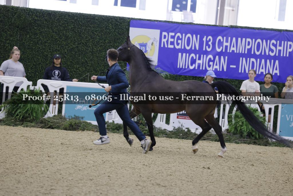 Proof 25R13_08065