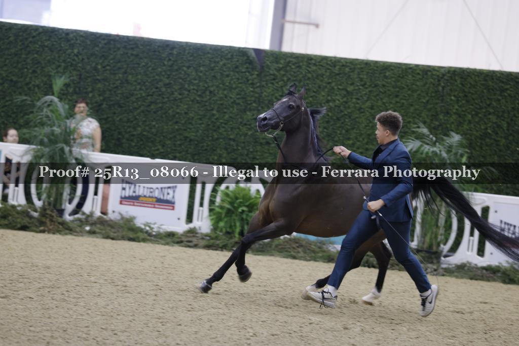 Proof 25R13_08066