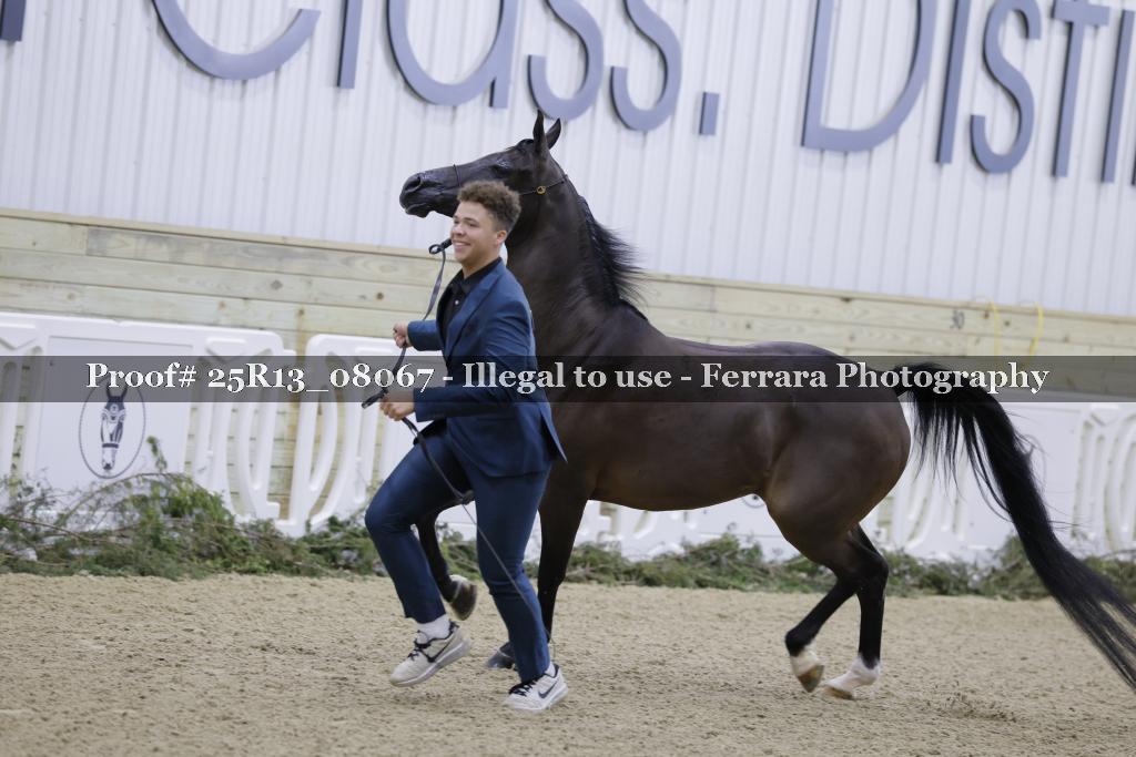 Proof 25R13_08067