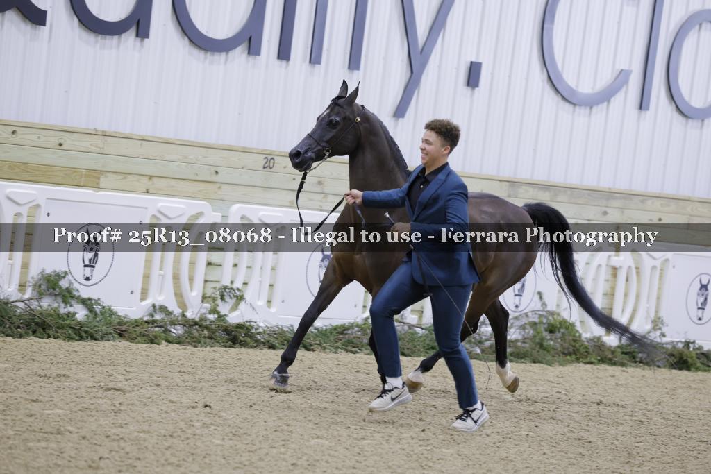 Proof 25R13_08068