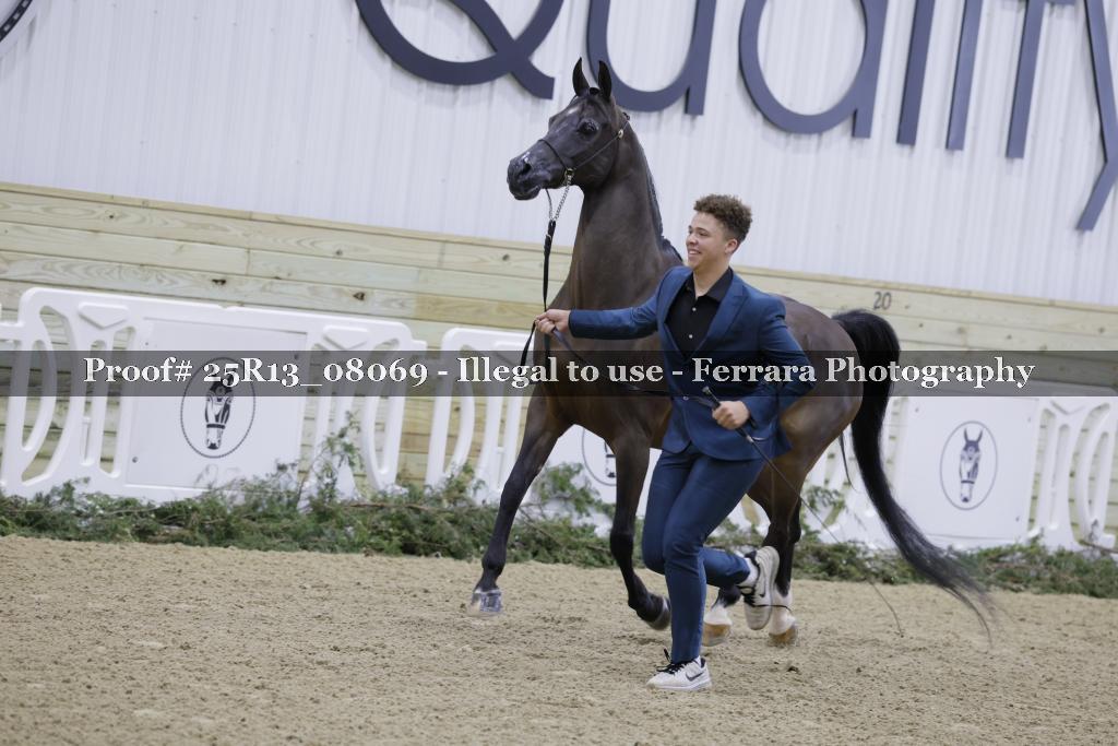Proof 25R13_08069