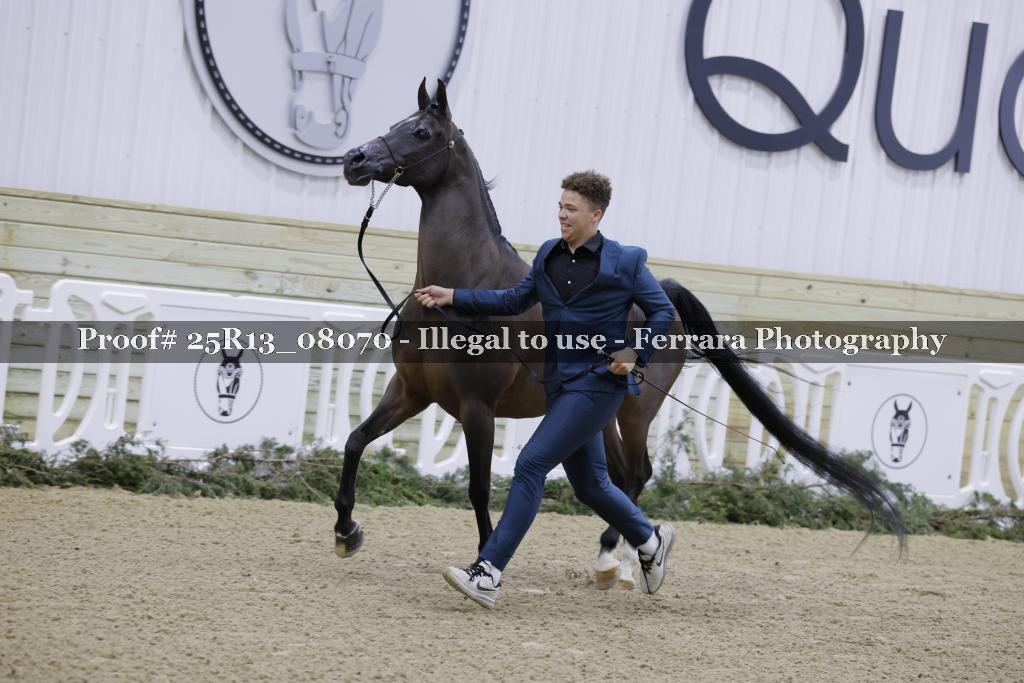 Proof 25R13_08070