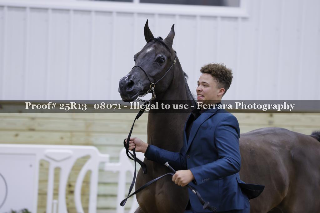Proof 25R13_08071