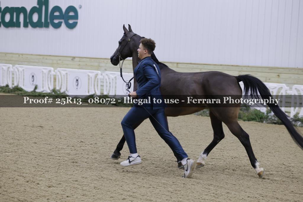 Proof 25R13_08072