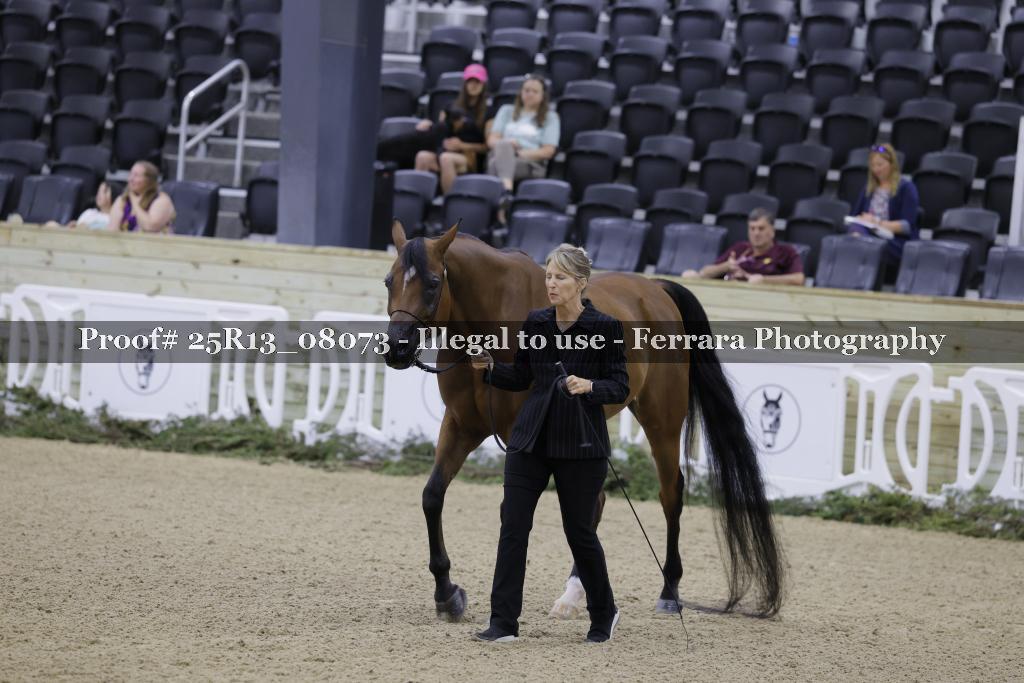 Proof 25R13_08073