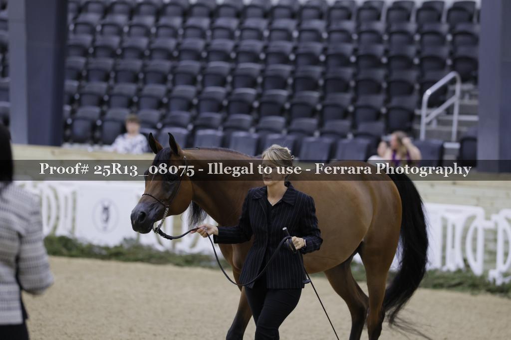 Proof 25R13_08075