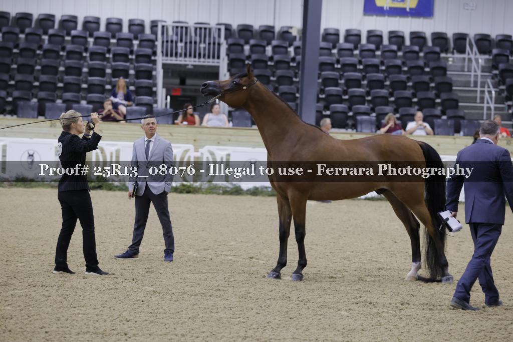 Proof 25R13_08076