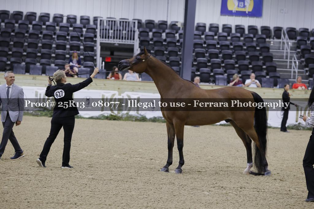 Proof 25R13_08077