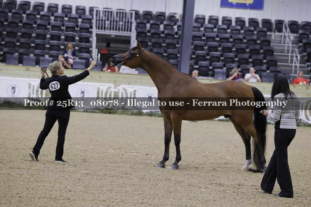 Proof 25R13_08078
