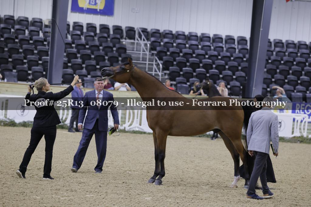 Proof 25R13_08079