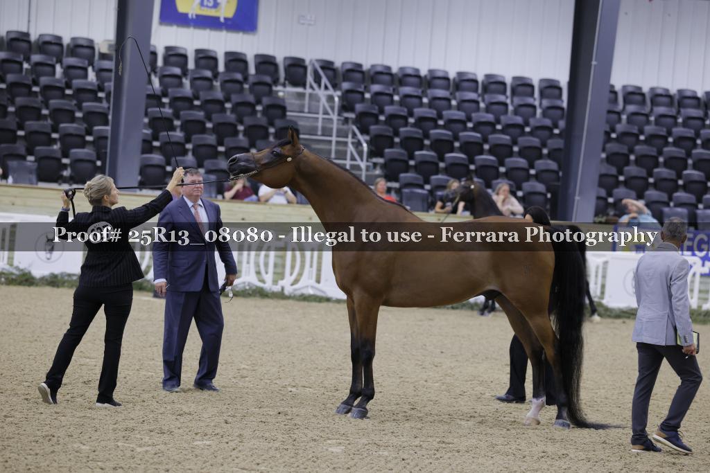 Proof 25R13_08080