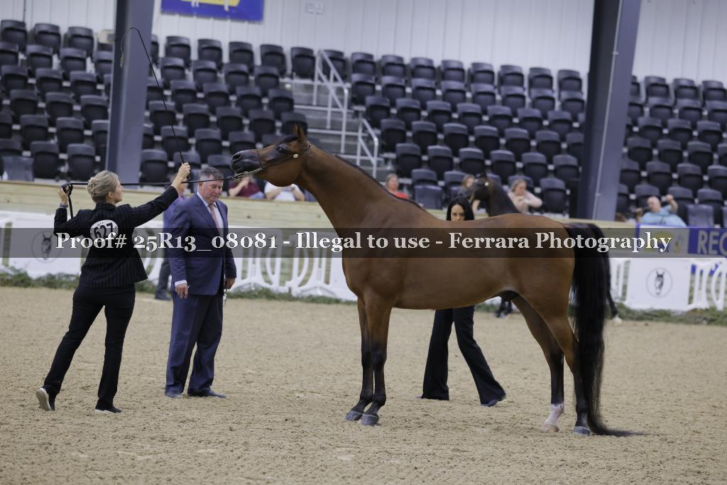 Proof 25R13_08081