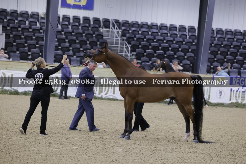 Proof 25R13_08082