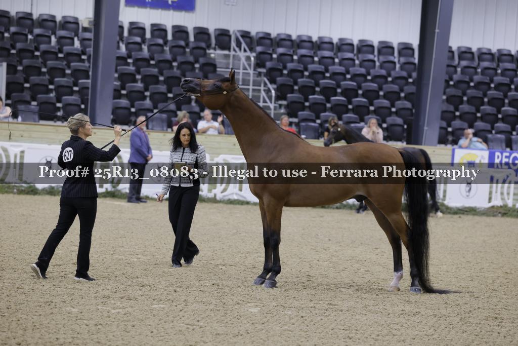Proof 25R13_08083