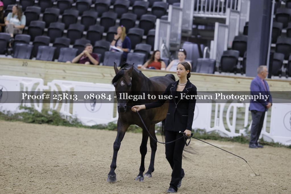 Proof 25R13_08084