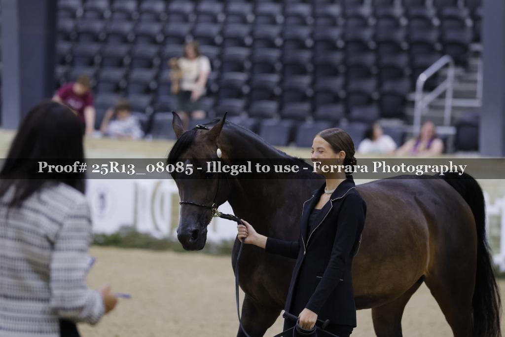 Proof 25R13_08085