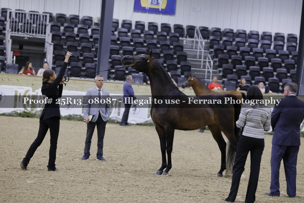 Proof 25R13_08087