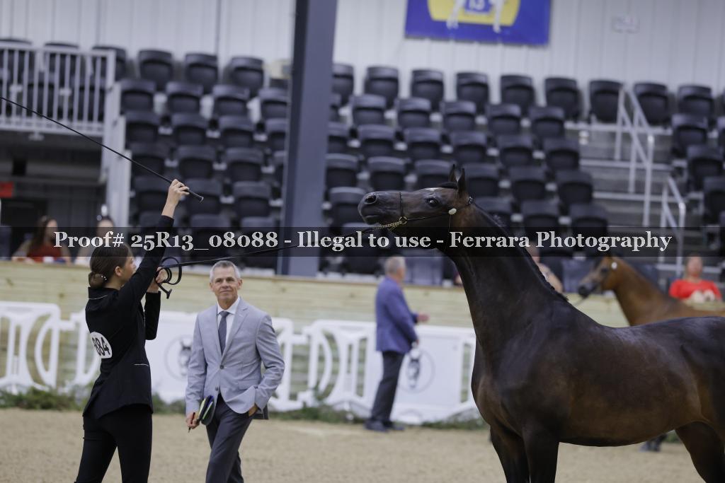Proof 25R13_08088