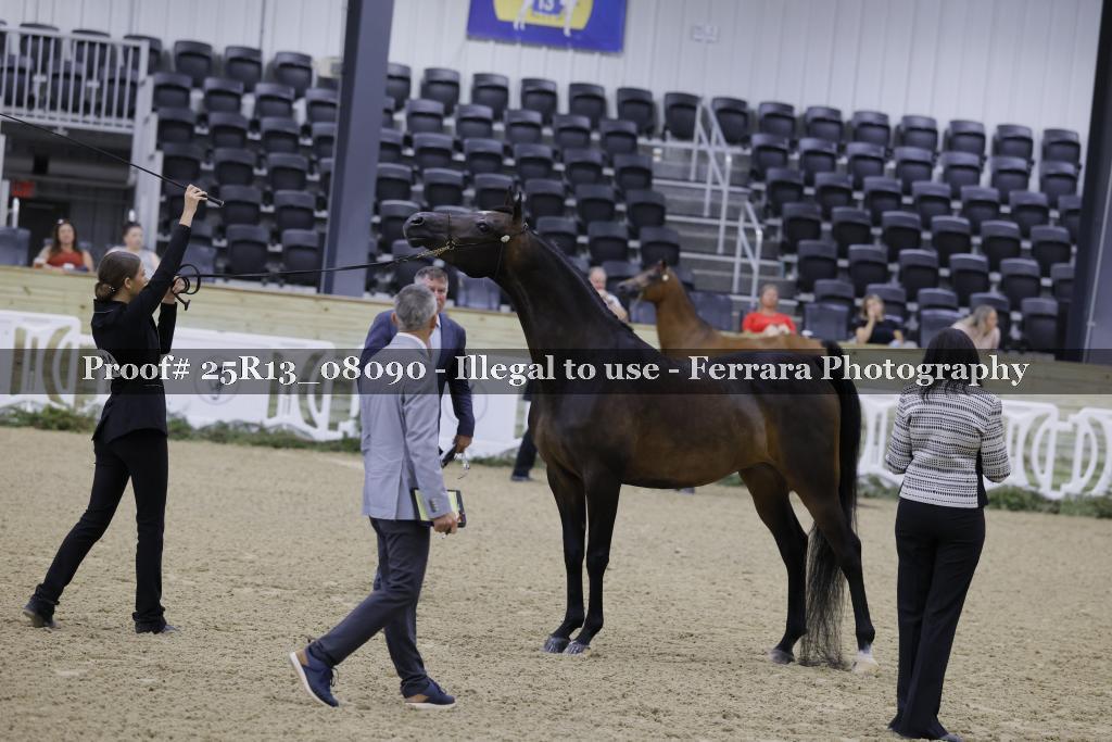 Proof 25R13_08090