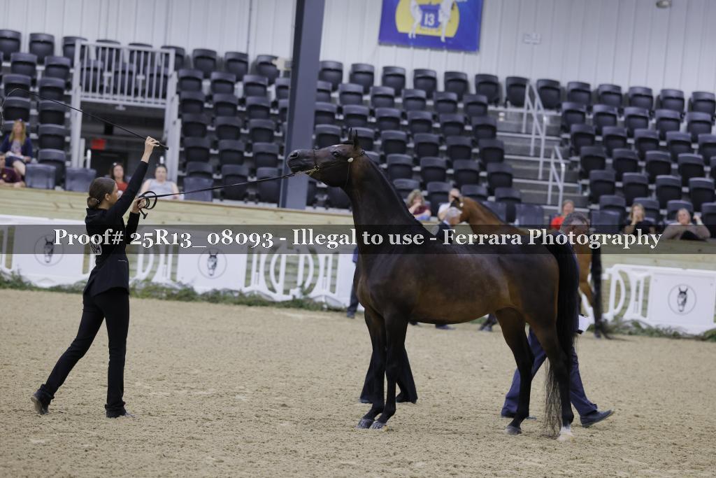 Proof 25R13_08093