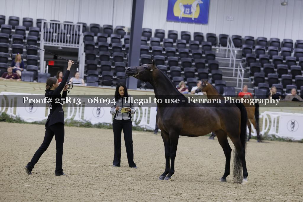 Proof 25R13_08094
