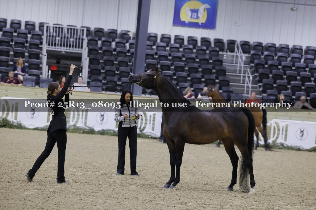 Proof 25R13_08095