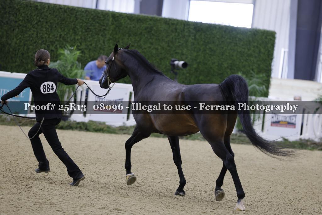 Proof 25R13_08096
