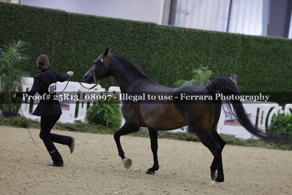 Proof 25R13_08097