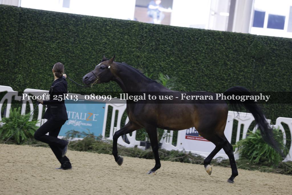 Proof 25R13_08099