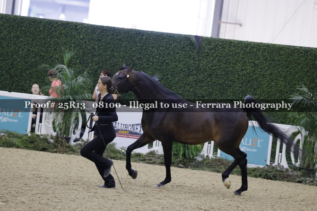 Proof 25R13_08100