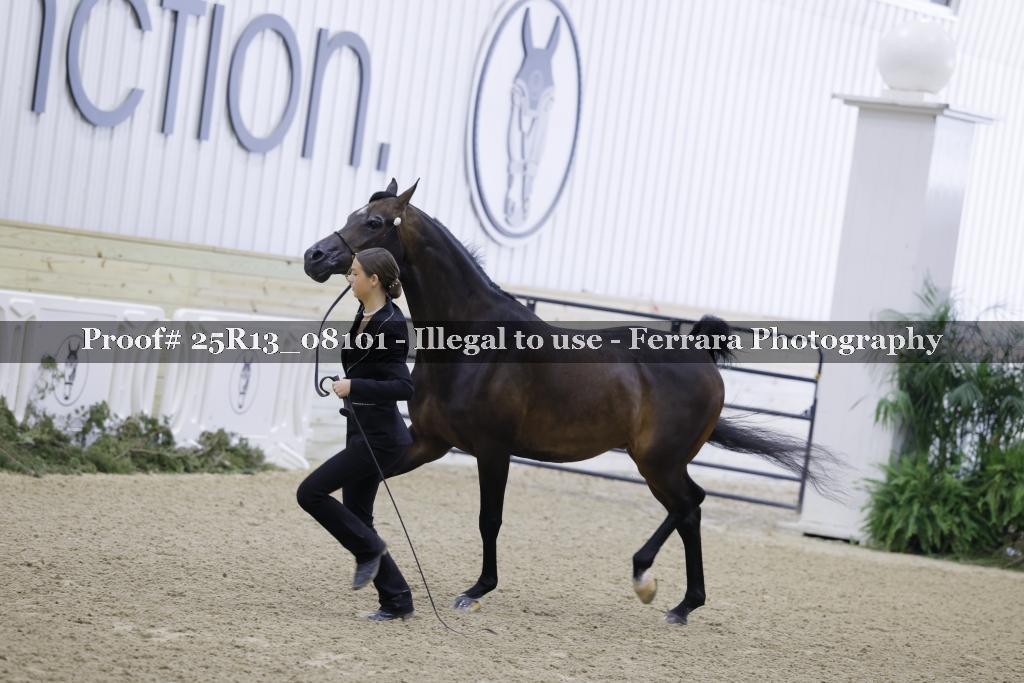 Proof 25R13_08101
