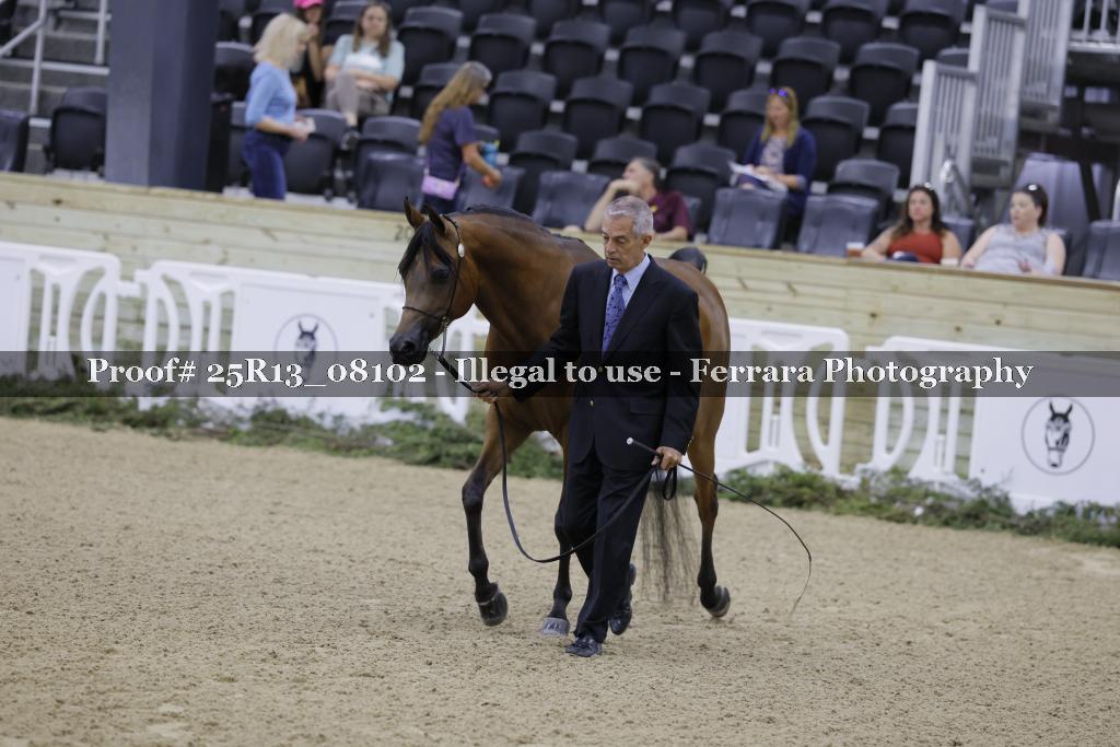 Proof 25R13_08102