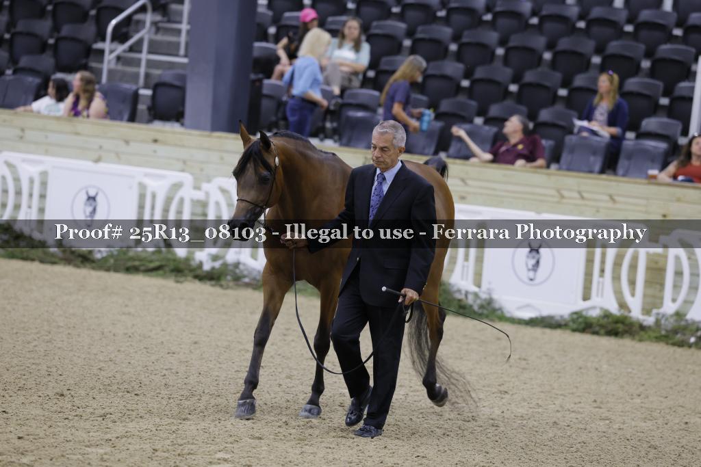 Proof 25R13_08103