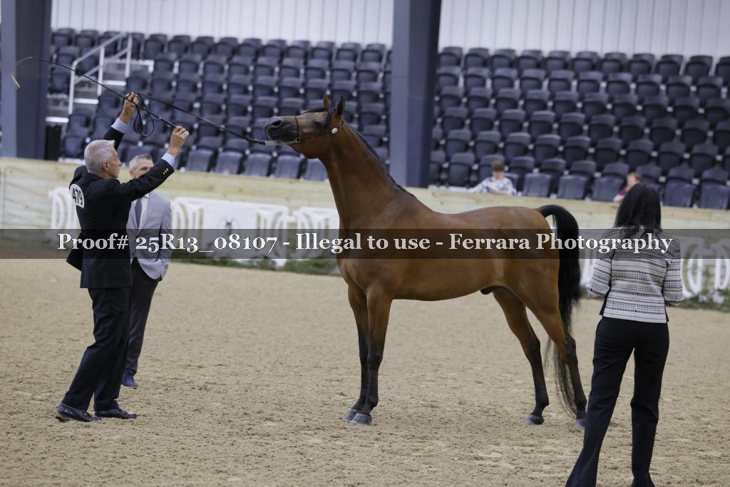 Proof 25R13_08107