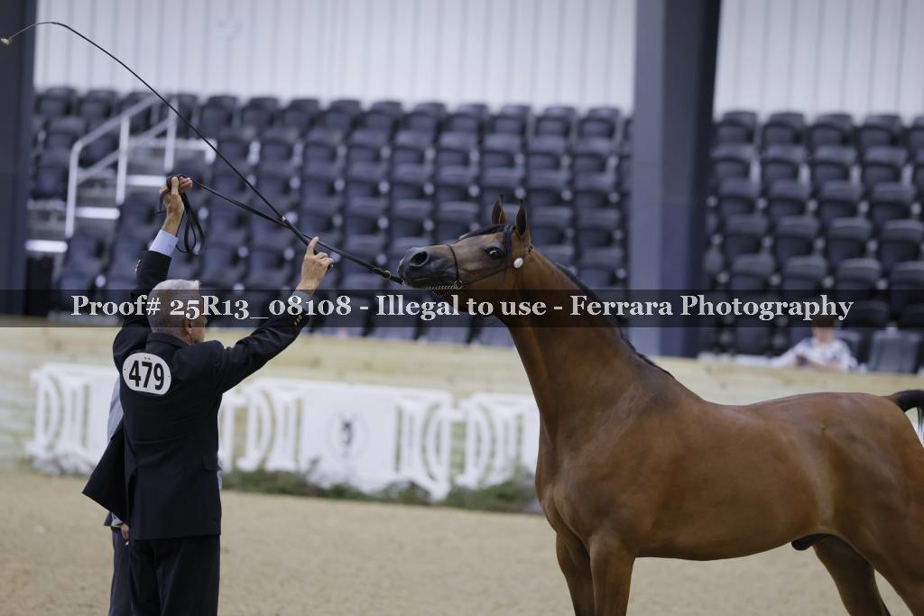 Proof 25R13_08108