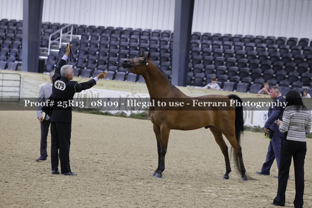 Proof 25R13_08109