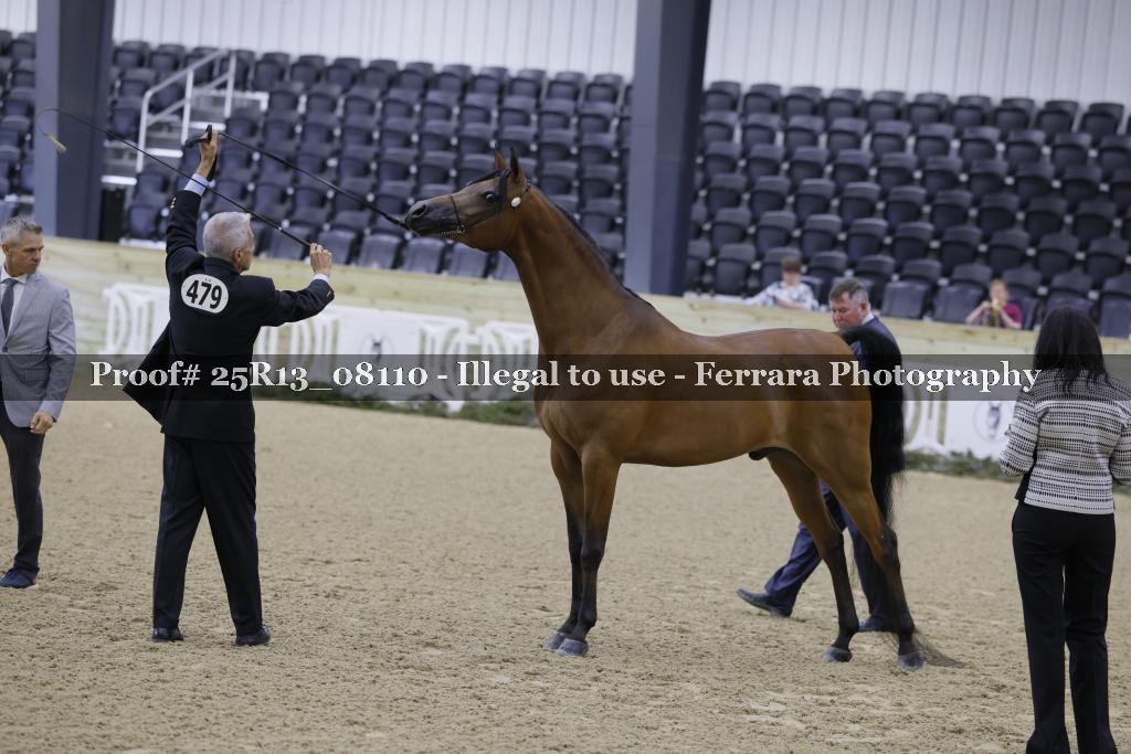 Proof 25R13_08110