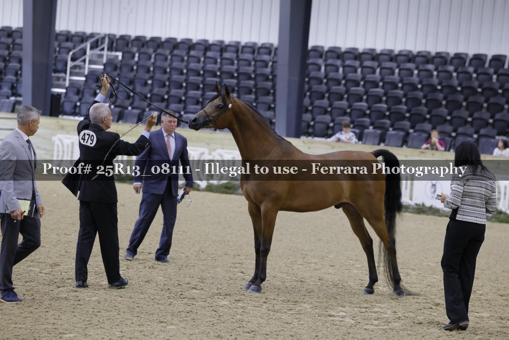Proof 25R13_08111