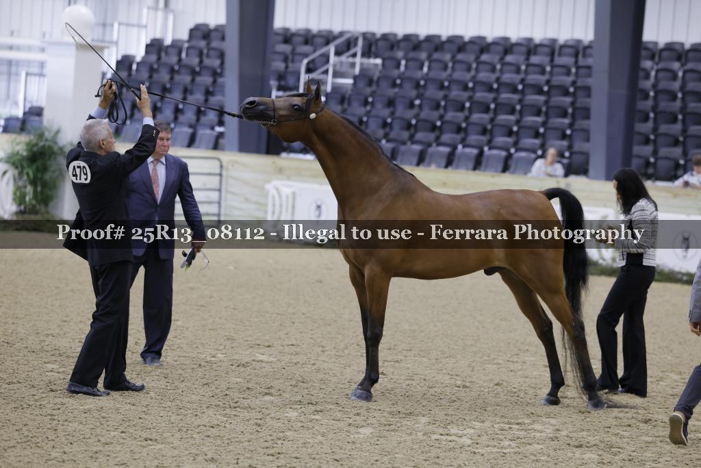 Proof 25R13_08112