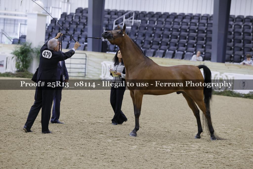 Proof 25R13_08114