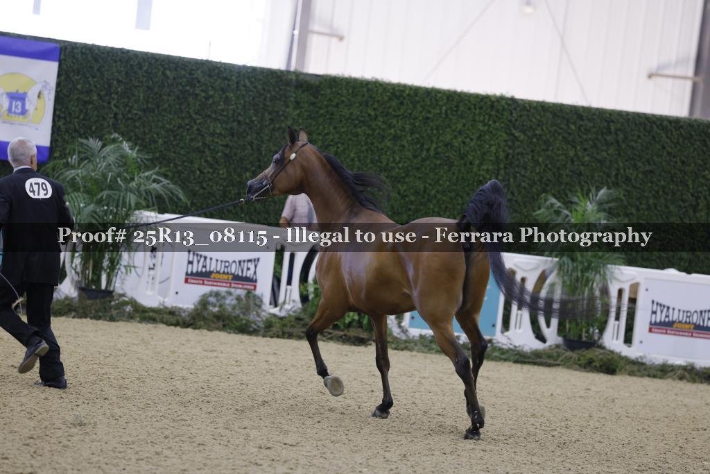 Proof 25R13_08115