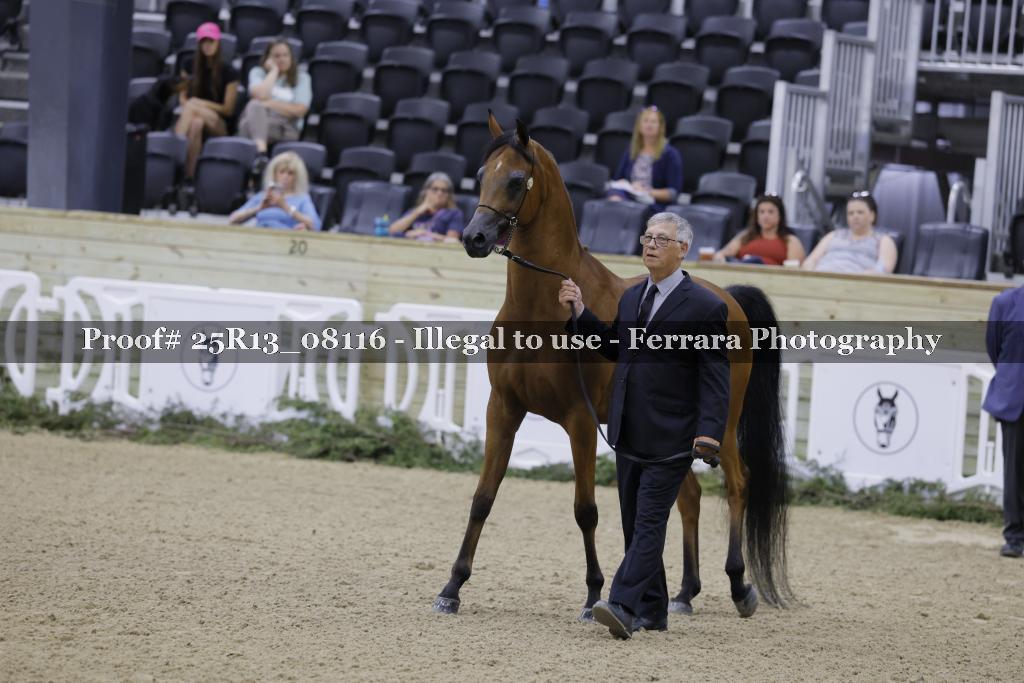 Proof 25R13_08116